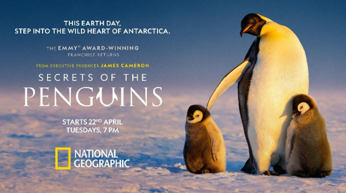 Secrets of the Penguins