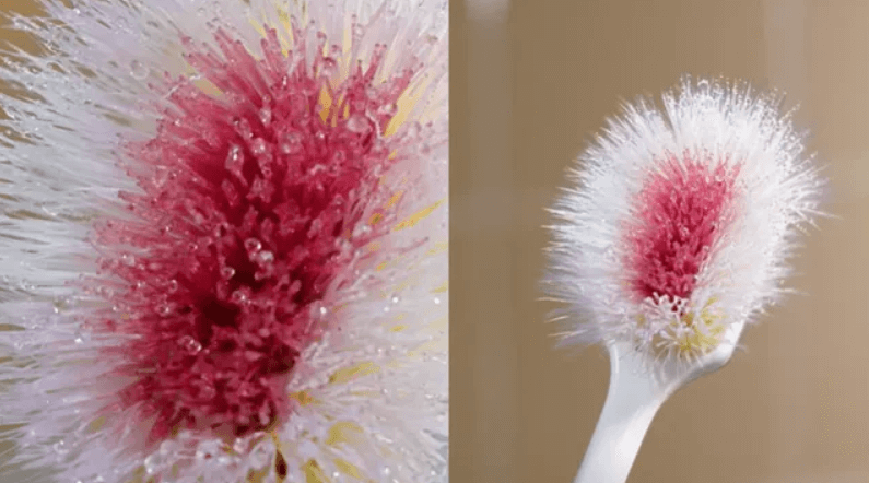 Colgate’s ‘A Bold New Species’ Ad