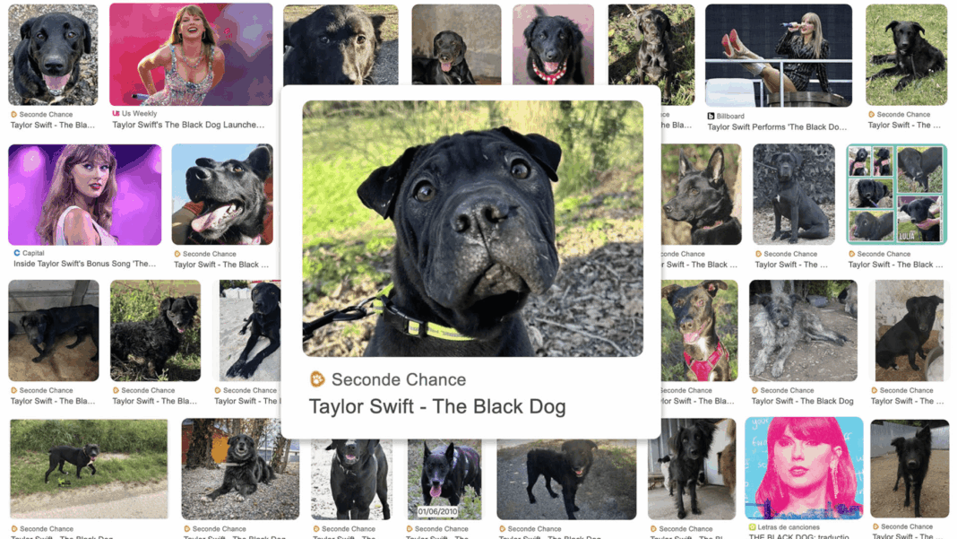 Taylor Swift Black Dog