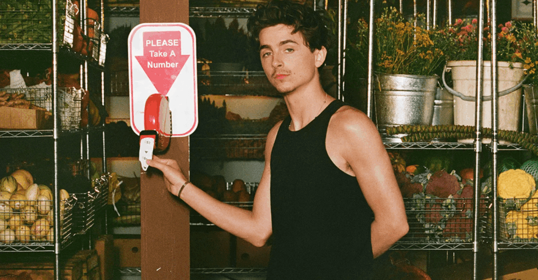Timothée Chalamet